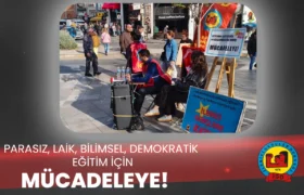 web site stant 6 12 25